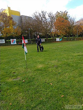 Exif_JPEG_420